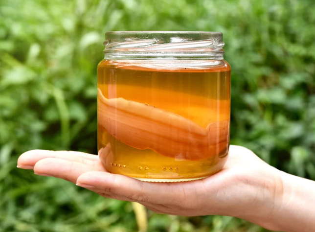Is Fermented Tea Worth Trying? Here’s What to Know (Without the Wellness Hype)